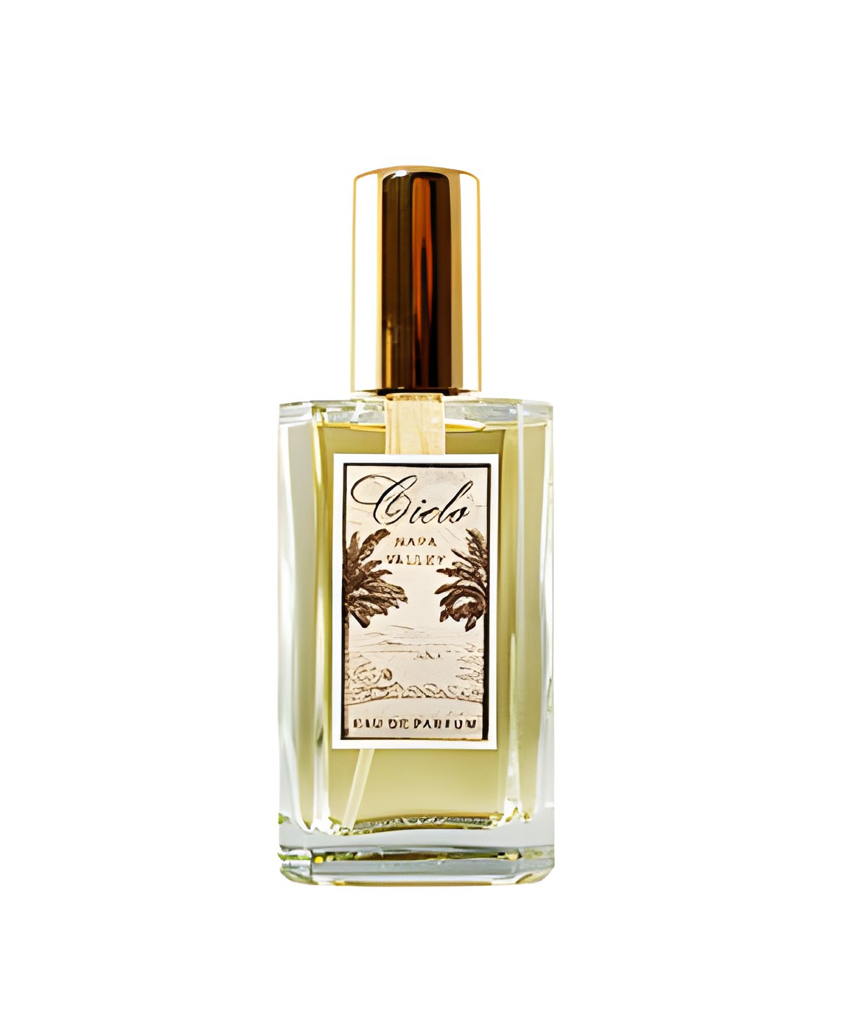 Picture of Cielo fragrance