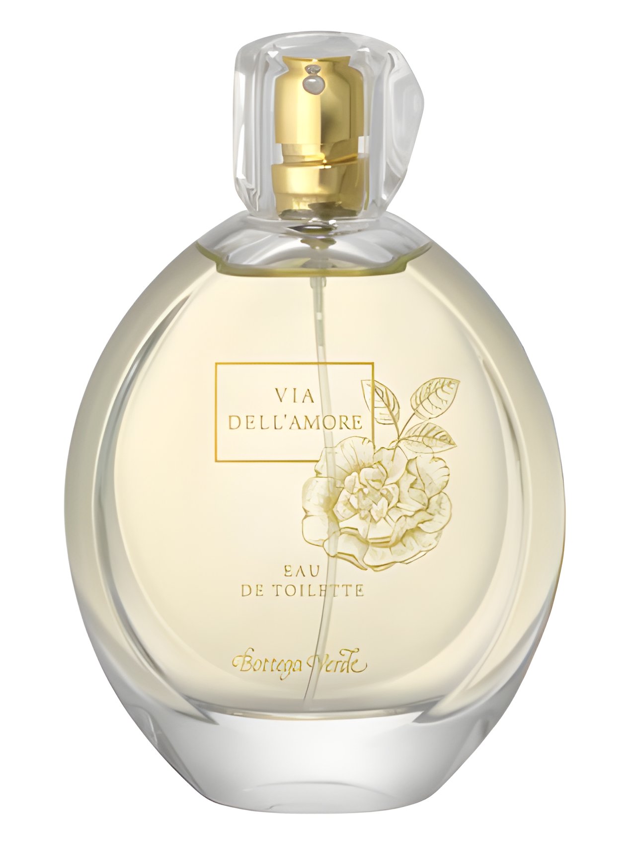 Picture of Via dell'Amore fragrance