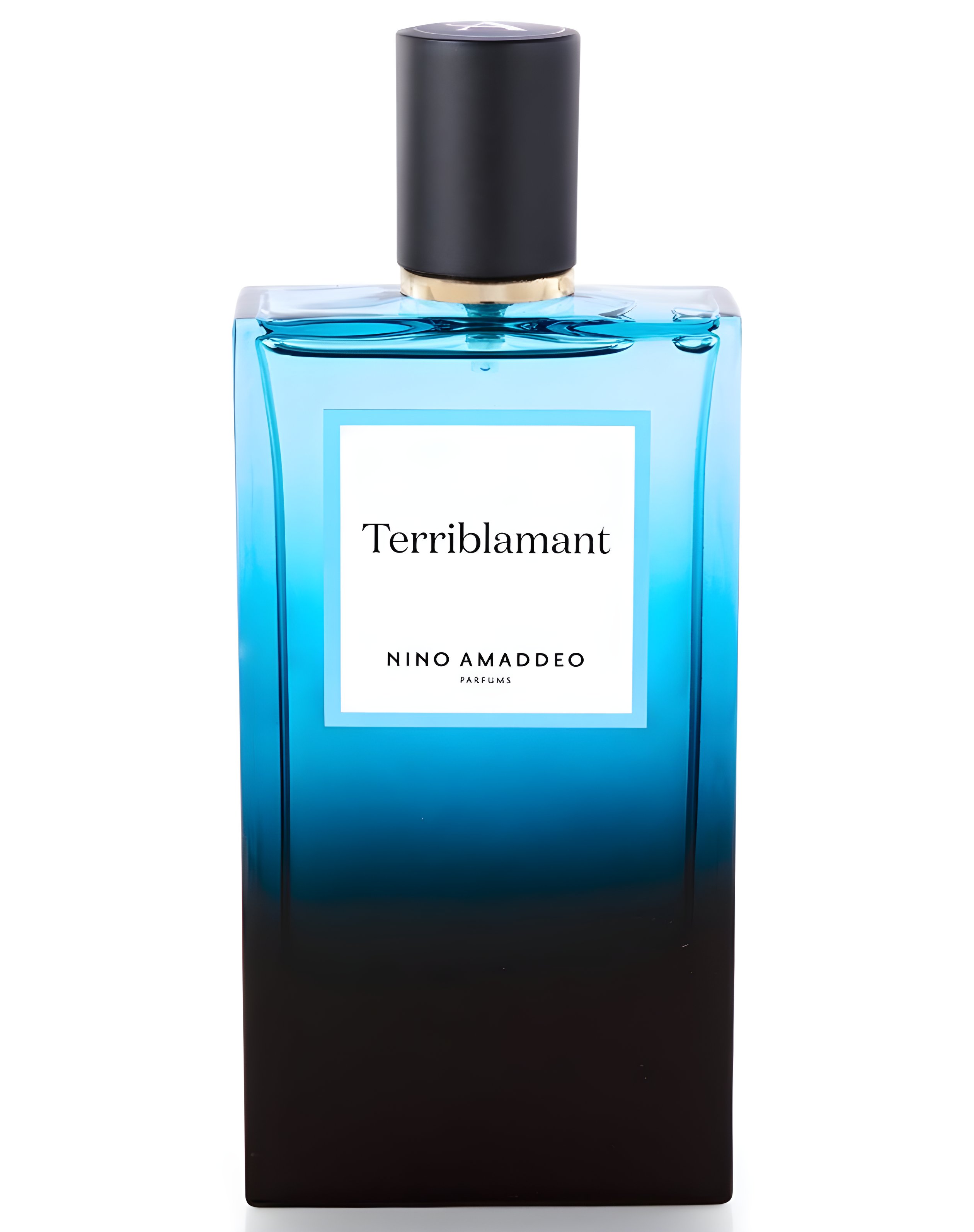 Picture of Terriblamant fragrance