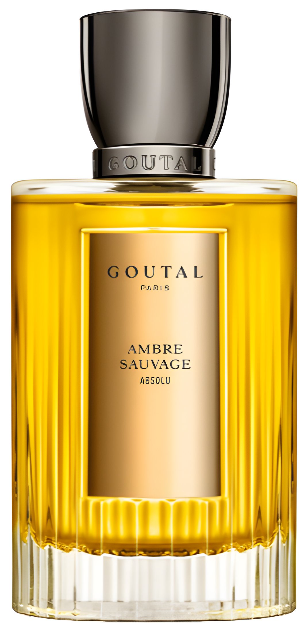 Picture of Ambre Sauvage Absolu 2020 fragrance