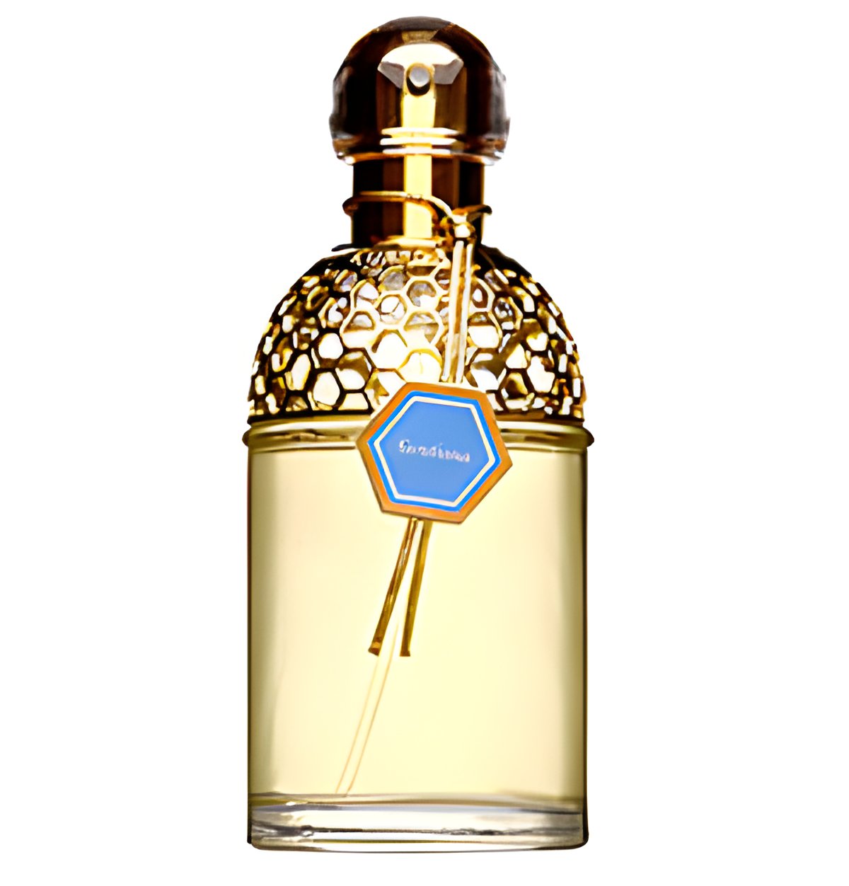 Picture of Aqua Allegoria Gentiana fragrance