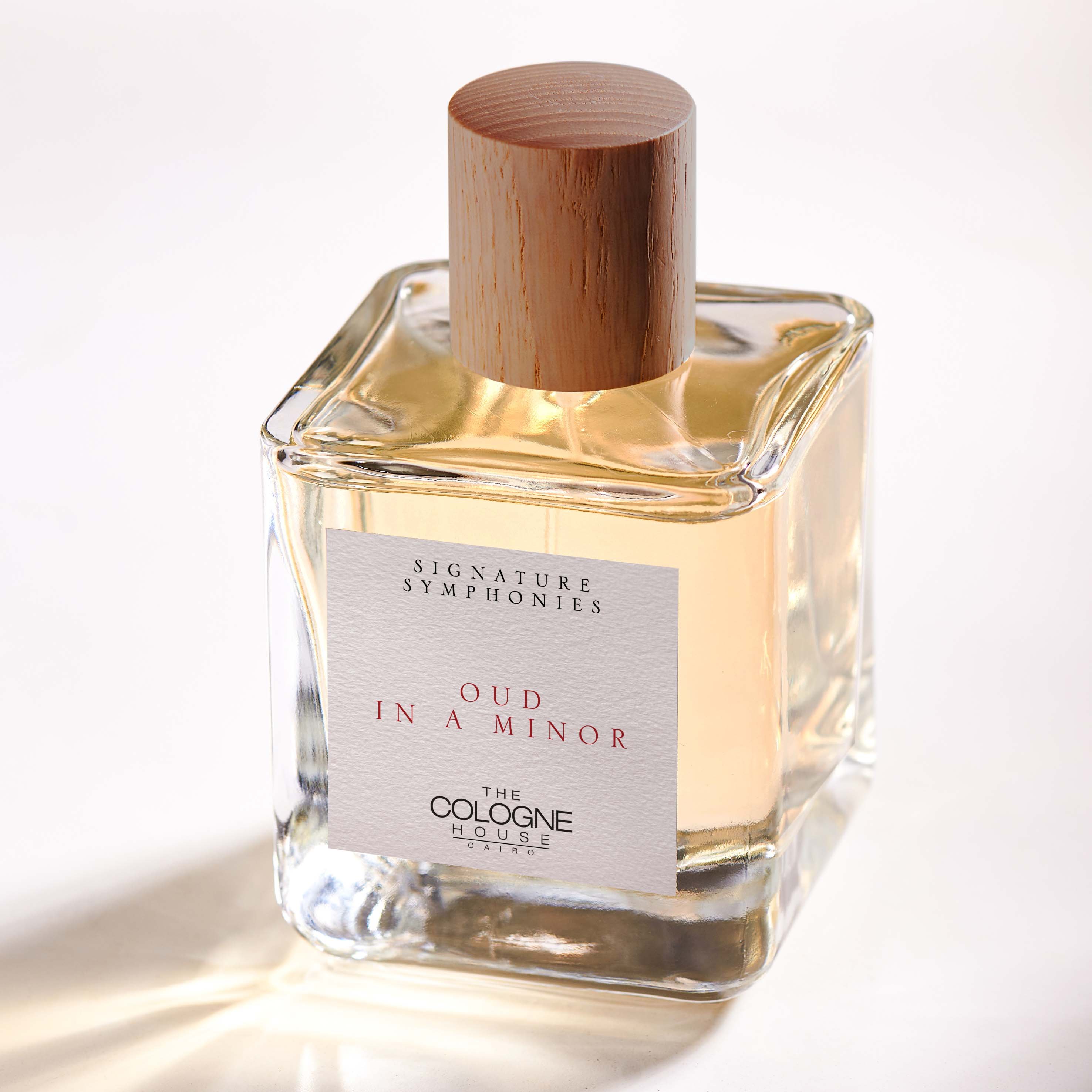 Picture of Oud in a Minor fragrance