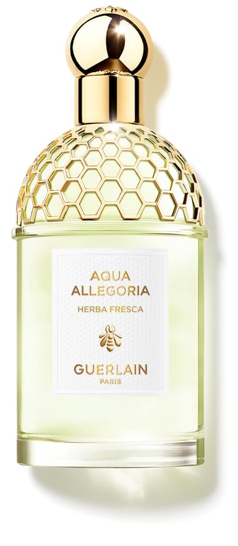 Picture of Aqua Allegoria Herba Fresca fragrance